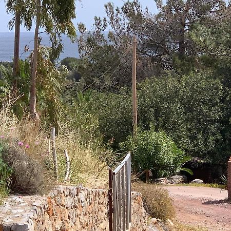 Villa Sea View Mesa Mpanta Káto Zákros エクステリア 写真