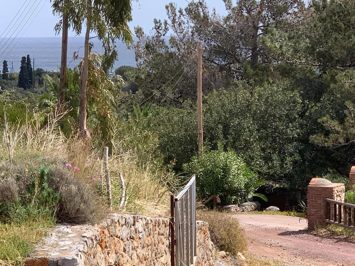 Villa Sea View Mesa Mpanta Káto Zákros エクステリア 写真
