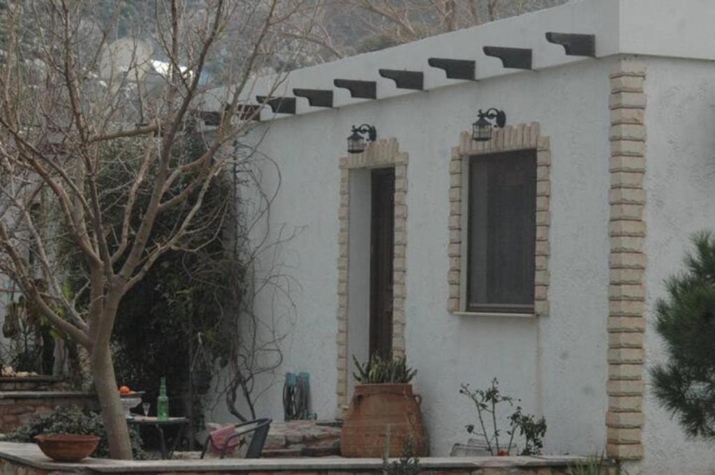 Villa Sea View Mesa Mpanta Káto Zákros エクステリア 写真